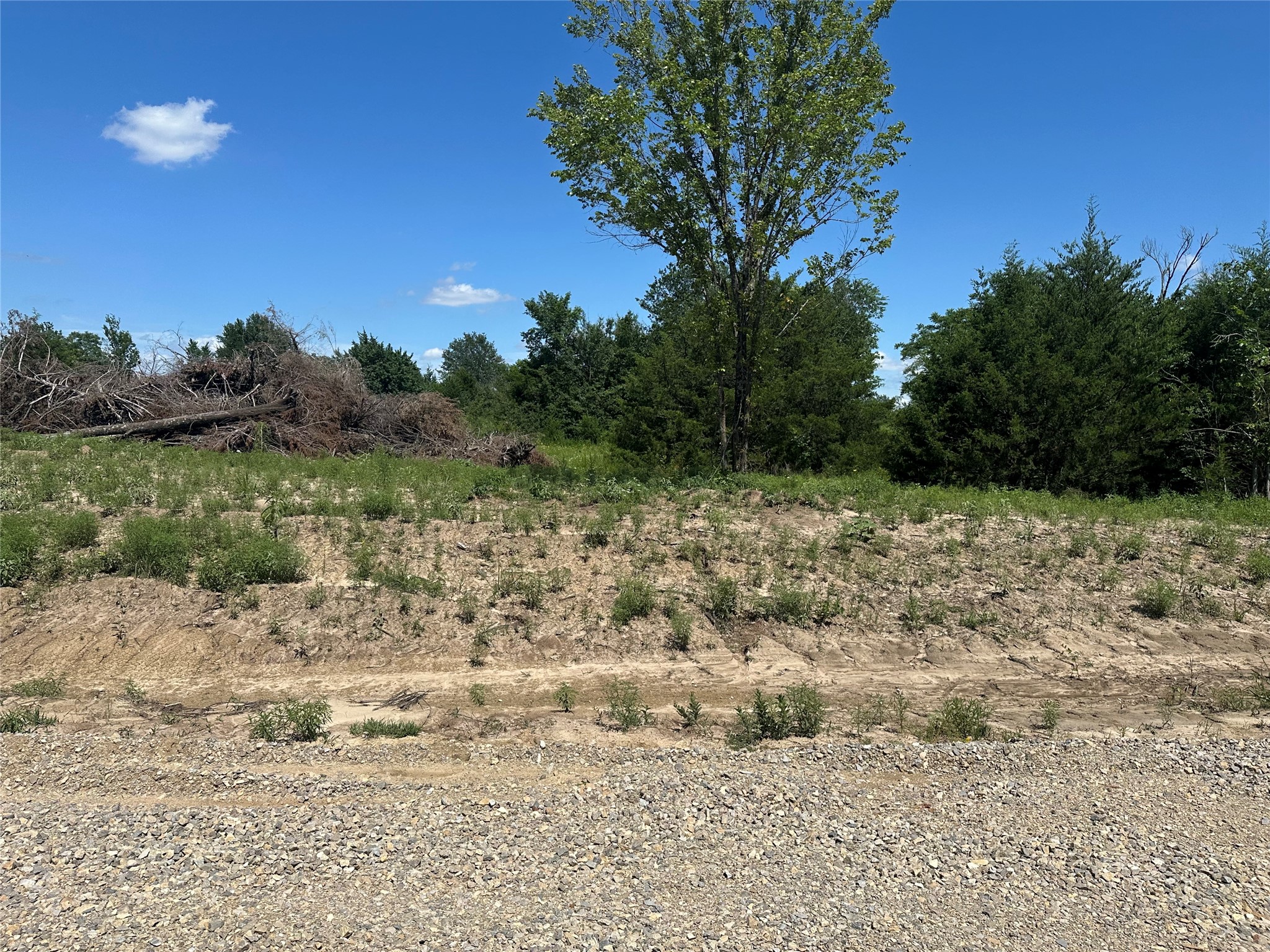 Lot 15 County Road 1110 Farmersville TX 75442