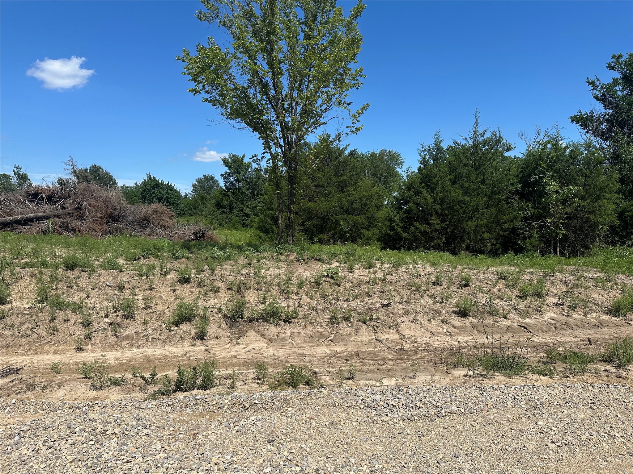 Lot 15 County Road 1110 Farmersville TX 75442