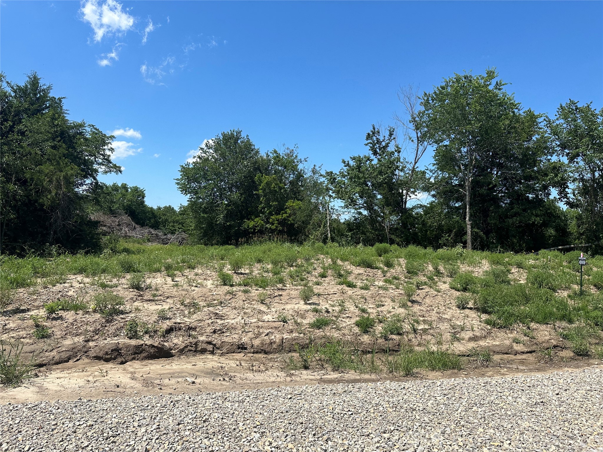 Lot 15 County Road 1110 Farmersville TX 75442