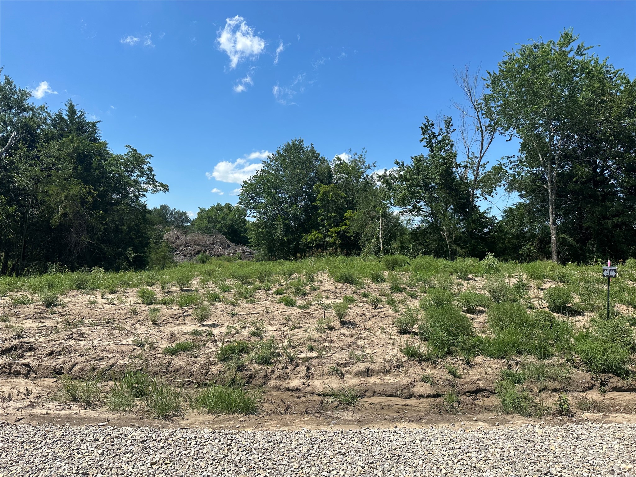 Lot 15 County Road 1110 Farmersville TX 75442