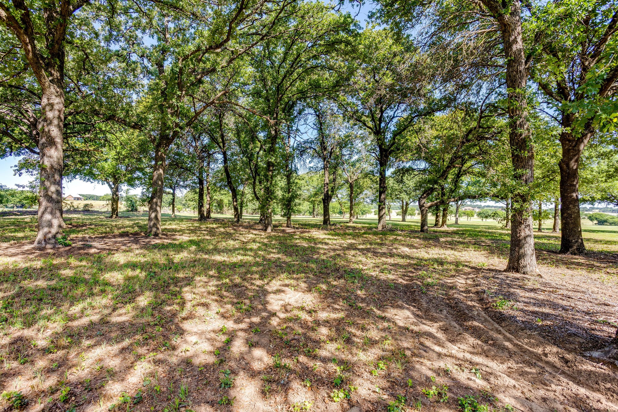 Tbd County Road 1021 Burleson TX 76028
