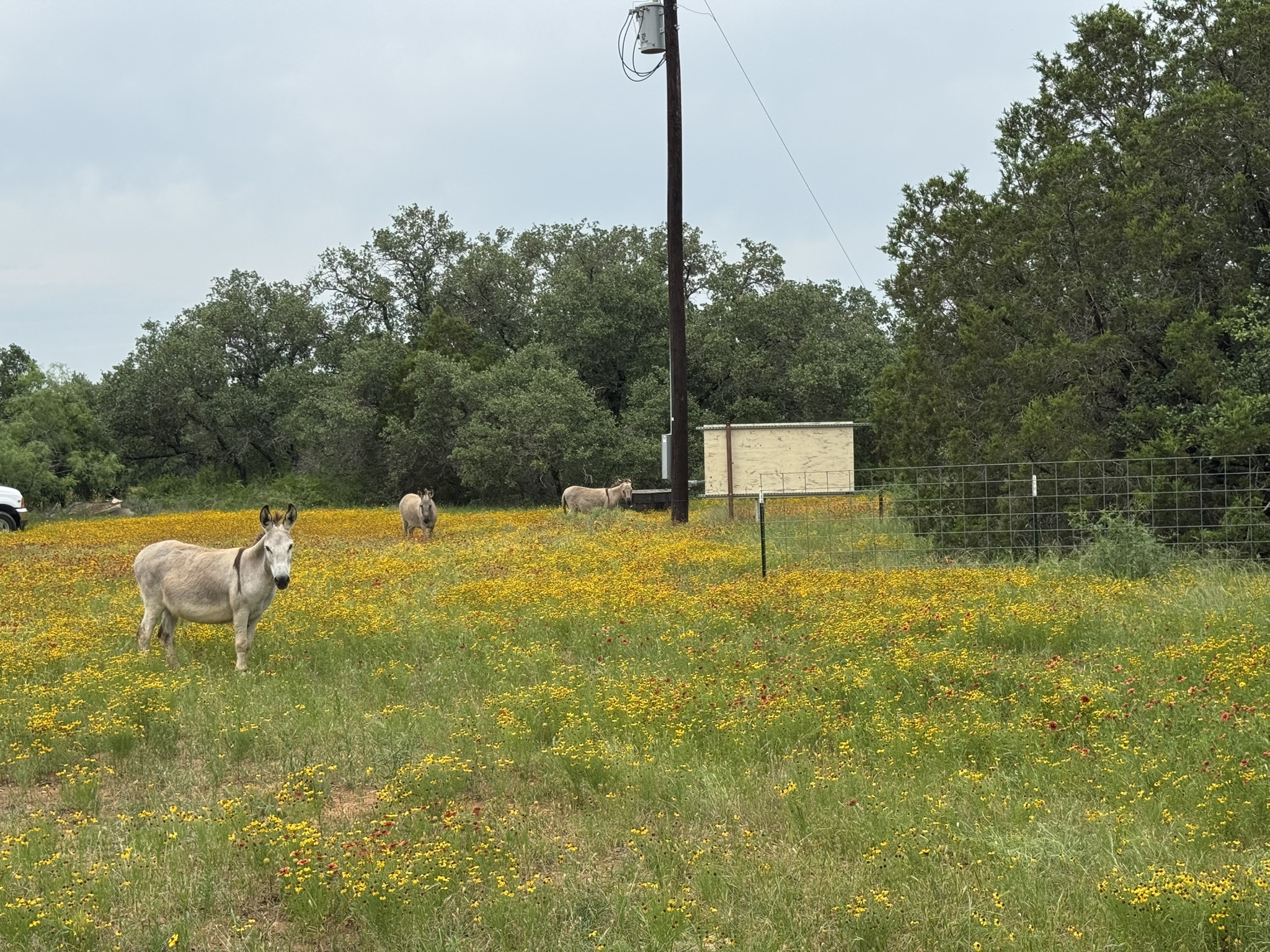 12550 County Road 136 Ranger TX 76470