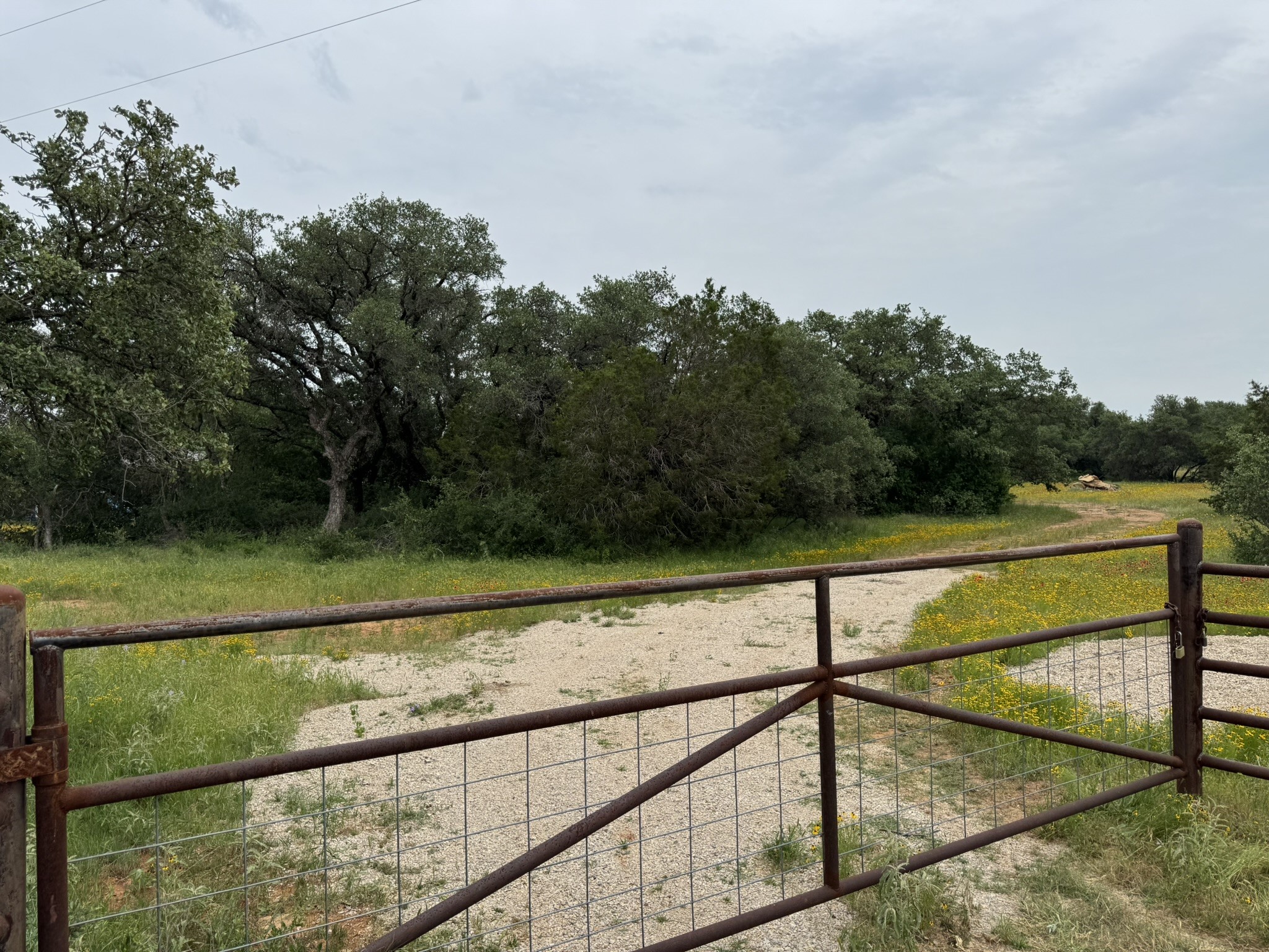 12550 County Road 136 Ranger TX 76470