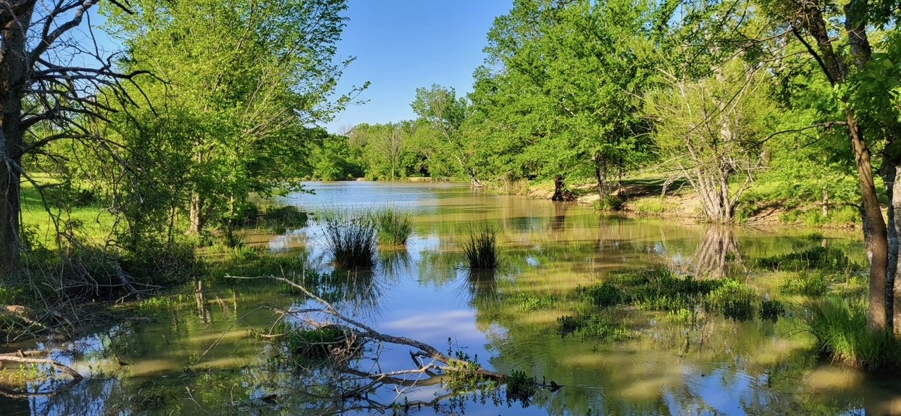 00000 County Road 1155 Brashear TX 75420