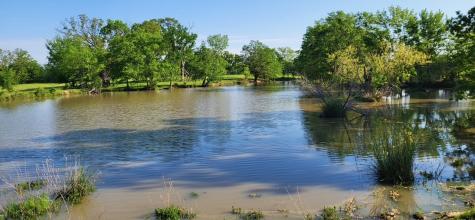 0 County Road 1155 Brashear TX 75420