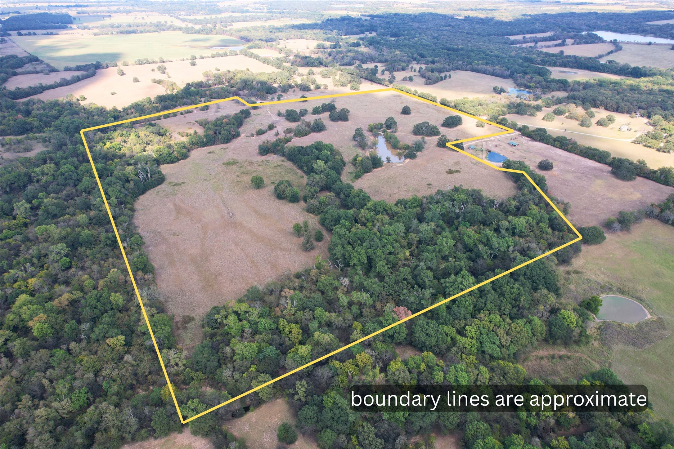 00000 County Road 1155 Brashear TX 75420