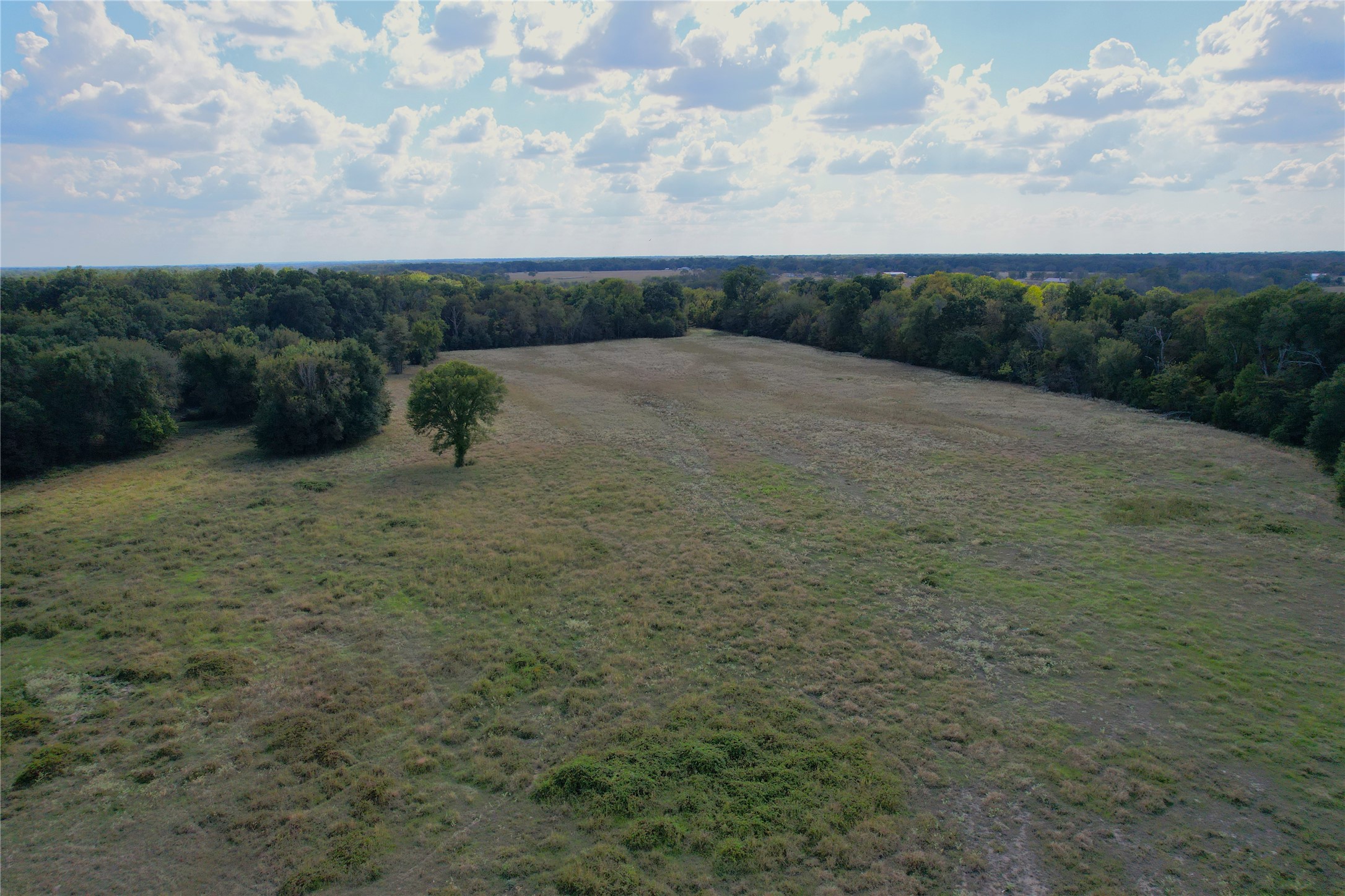 00000 County Road 1155 Brashear TX 75420