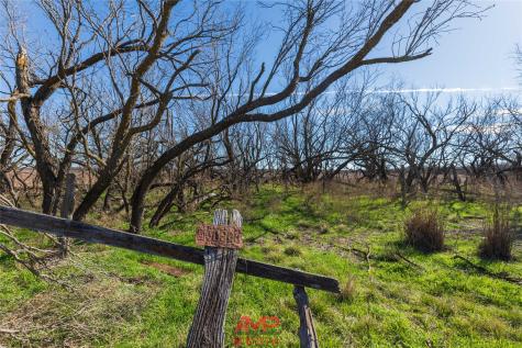 T B D County Road 260 Avoca TX 79503