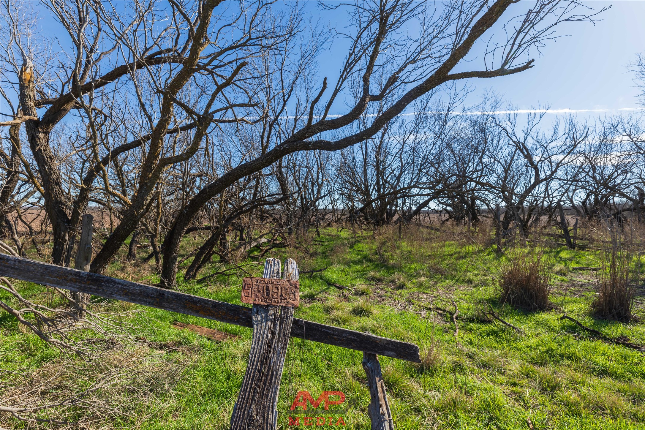 T B D County Road 260 Avoca TX 79503