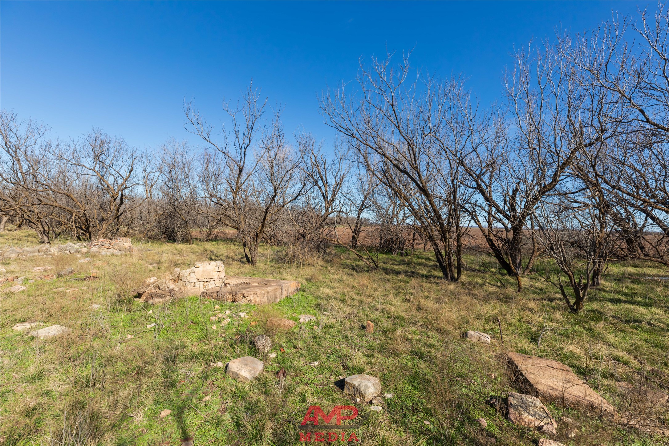 T B D County Road 260 Avoca TX 79503