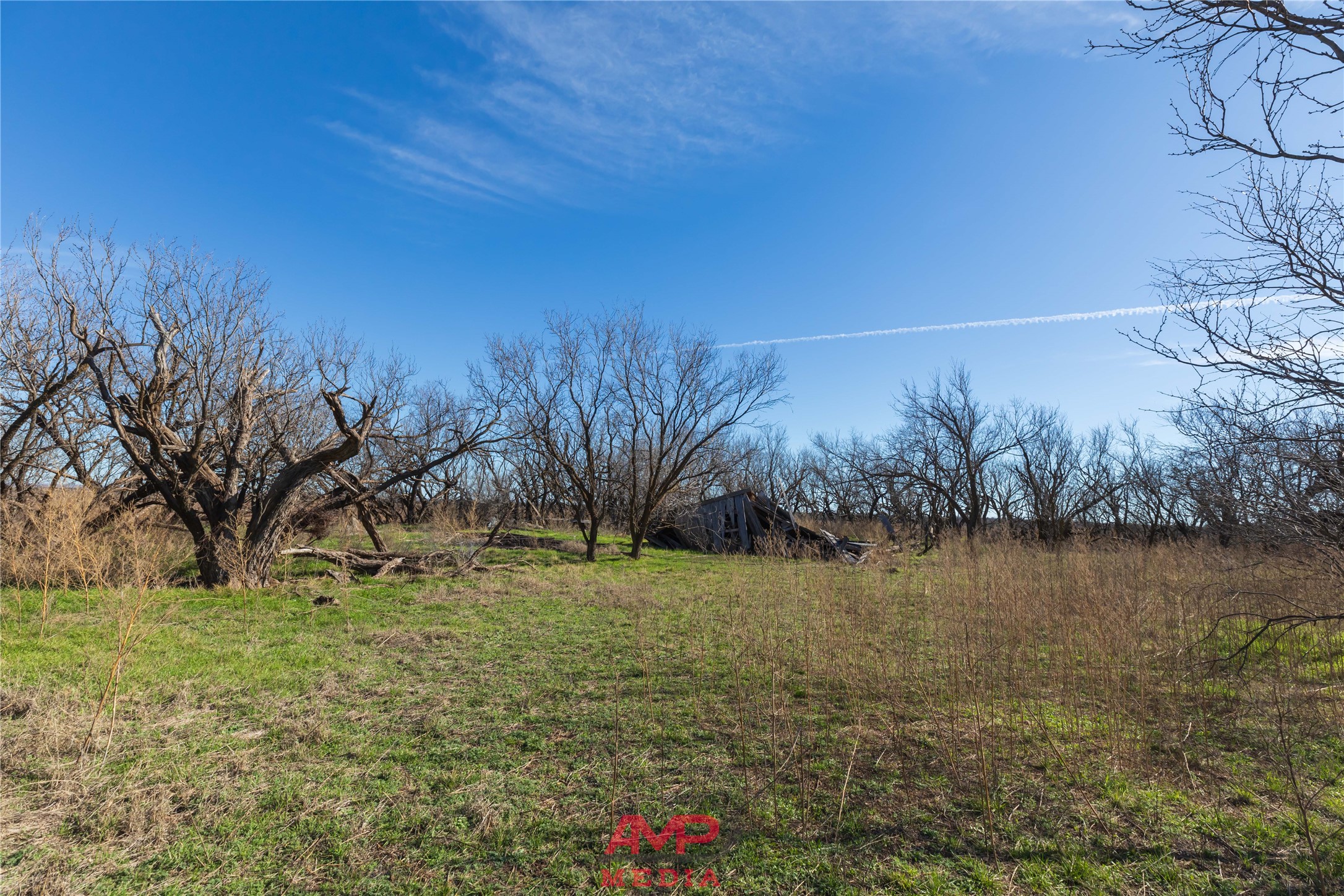 T B D County Road 260 Avoca TX 79503