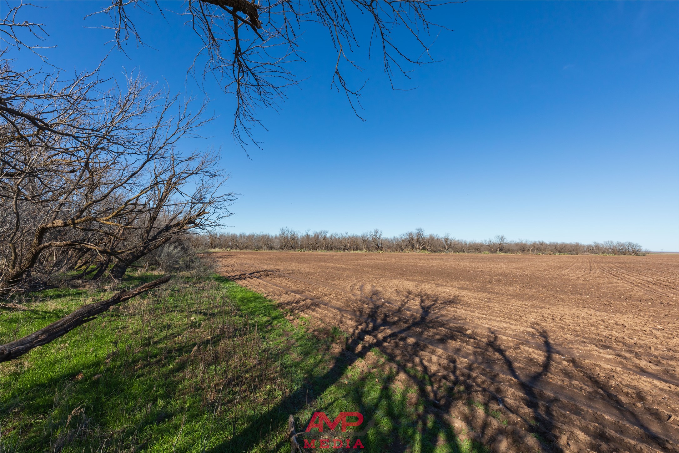 T B D County Road 260 Avoca TX 79503