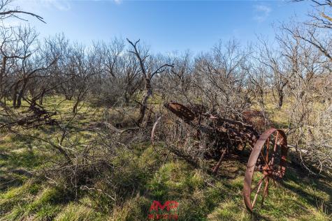 T B D County Road 260 Avoca TX 79503