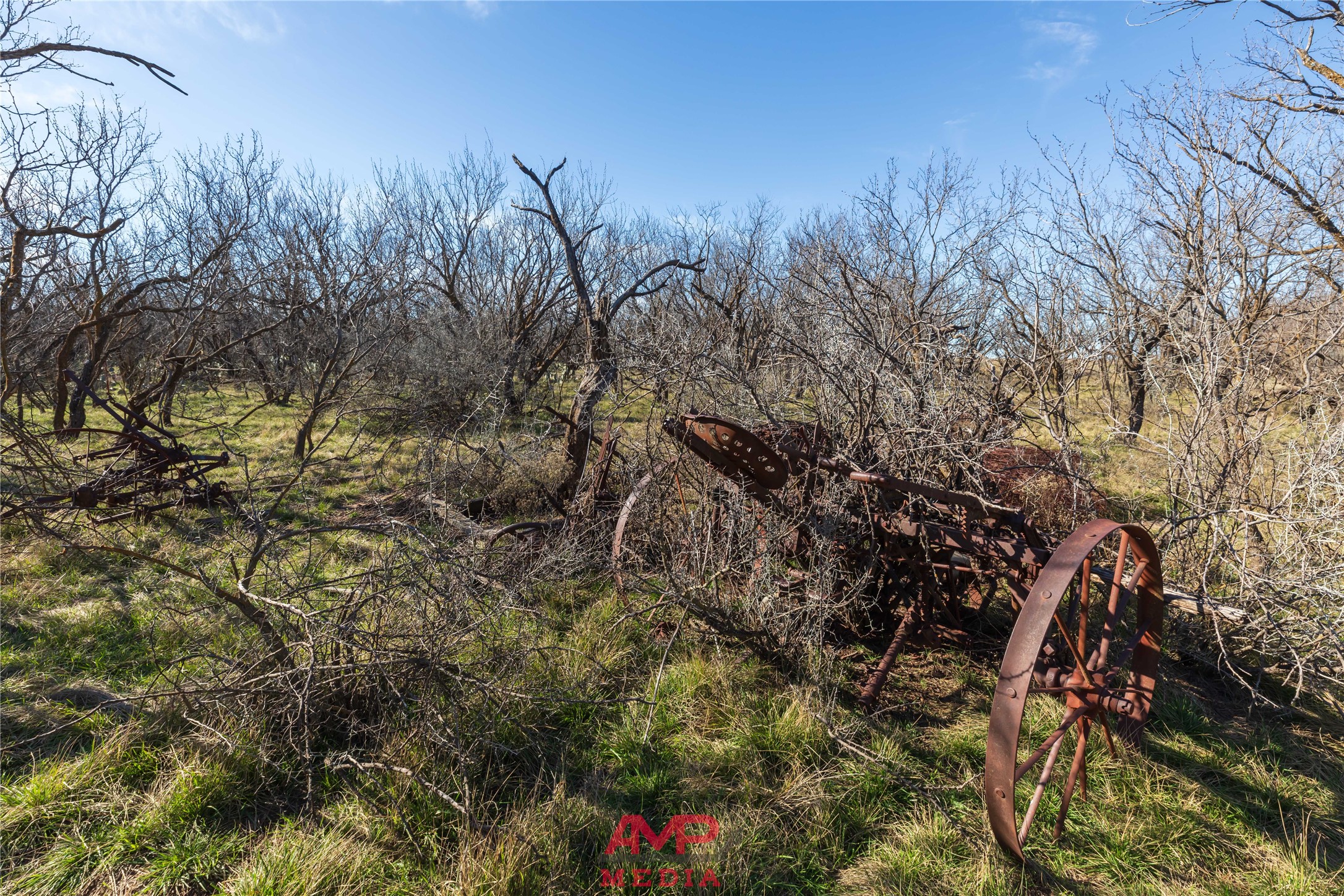 T B D County Road 260 Avoca TX 79503