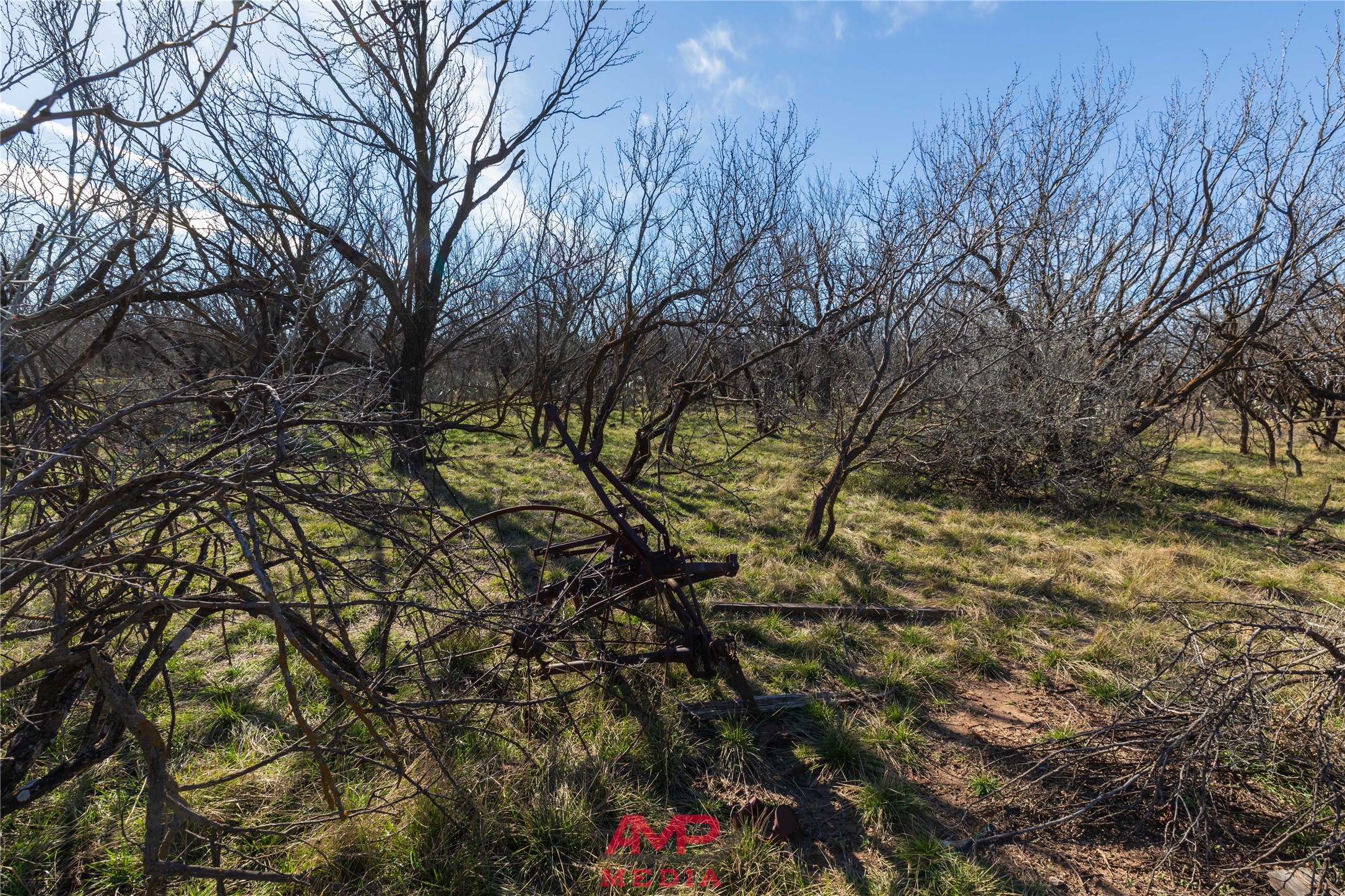 T B D County Road 260 Avoca TX 79503