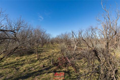 T B D County Road 260 Avoca TX 79503