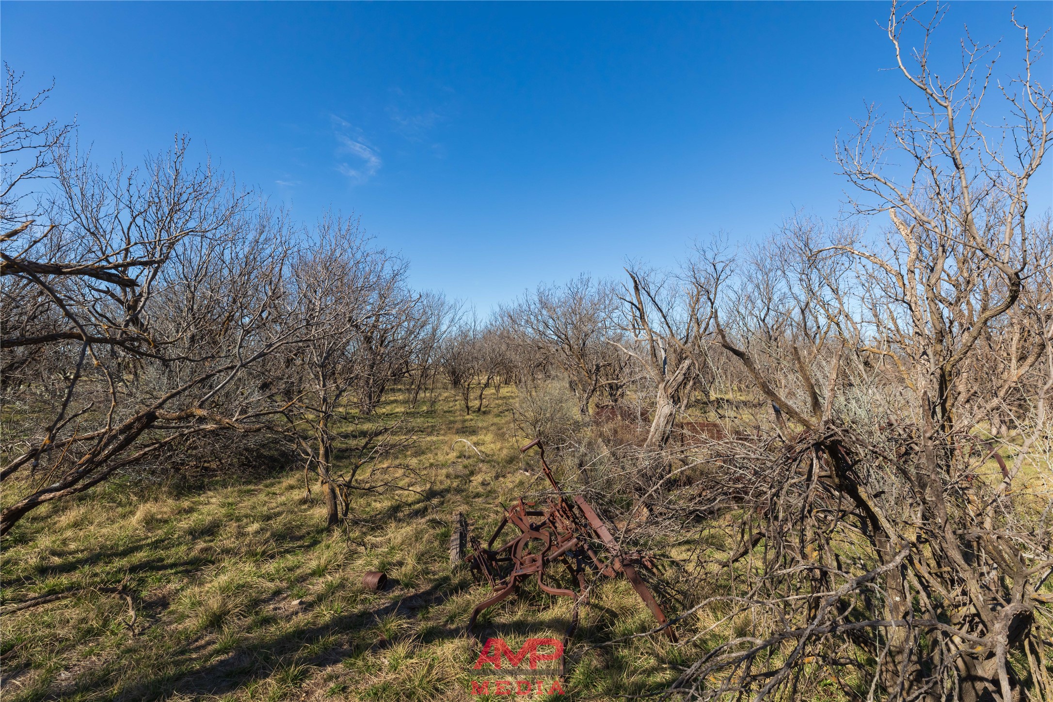 T B D County Road 260 Avoca TX 79503