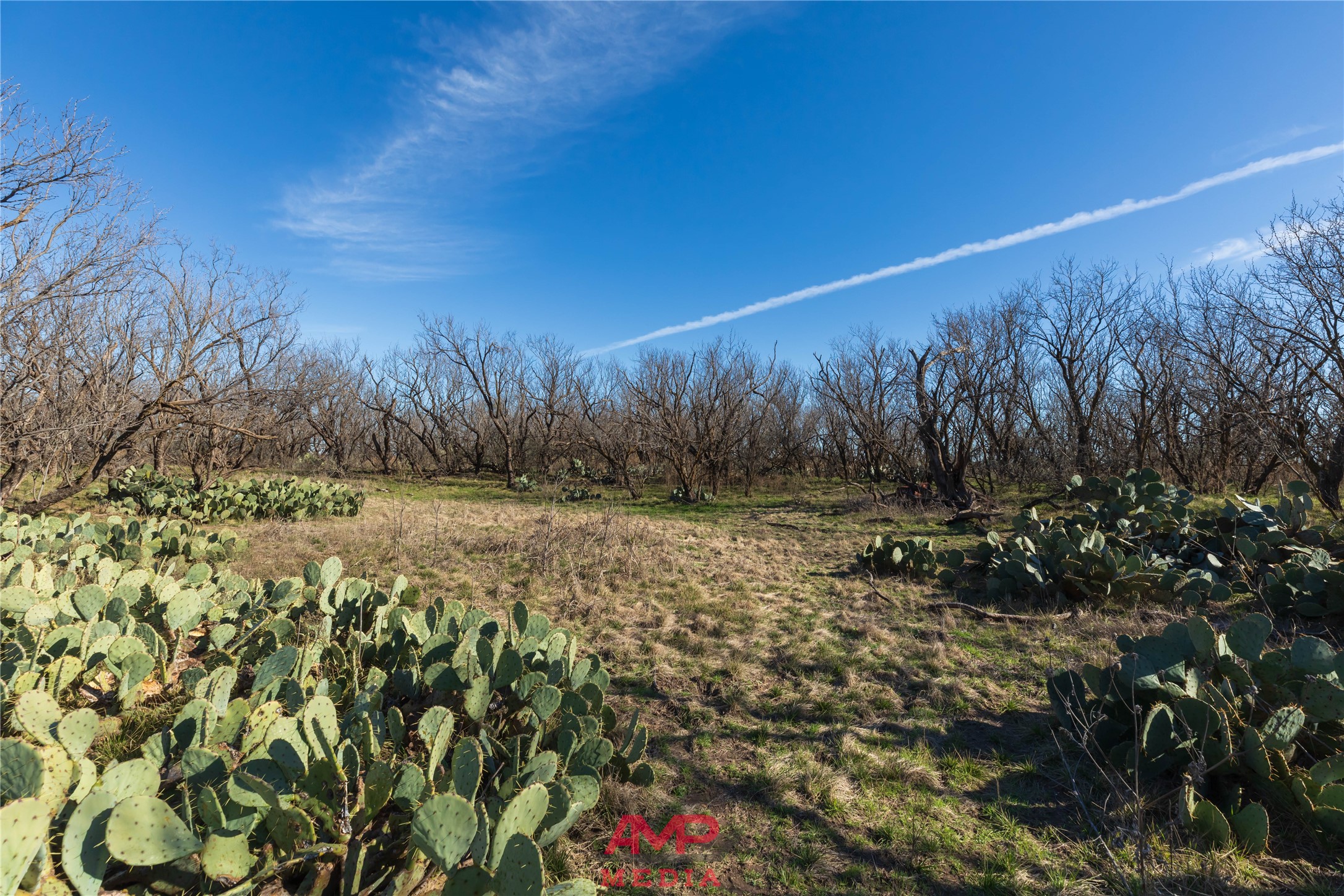 T B D County Road 260 Avoca TX 79503