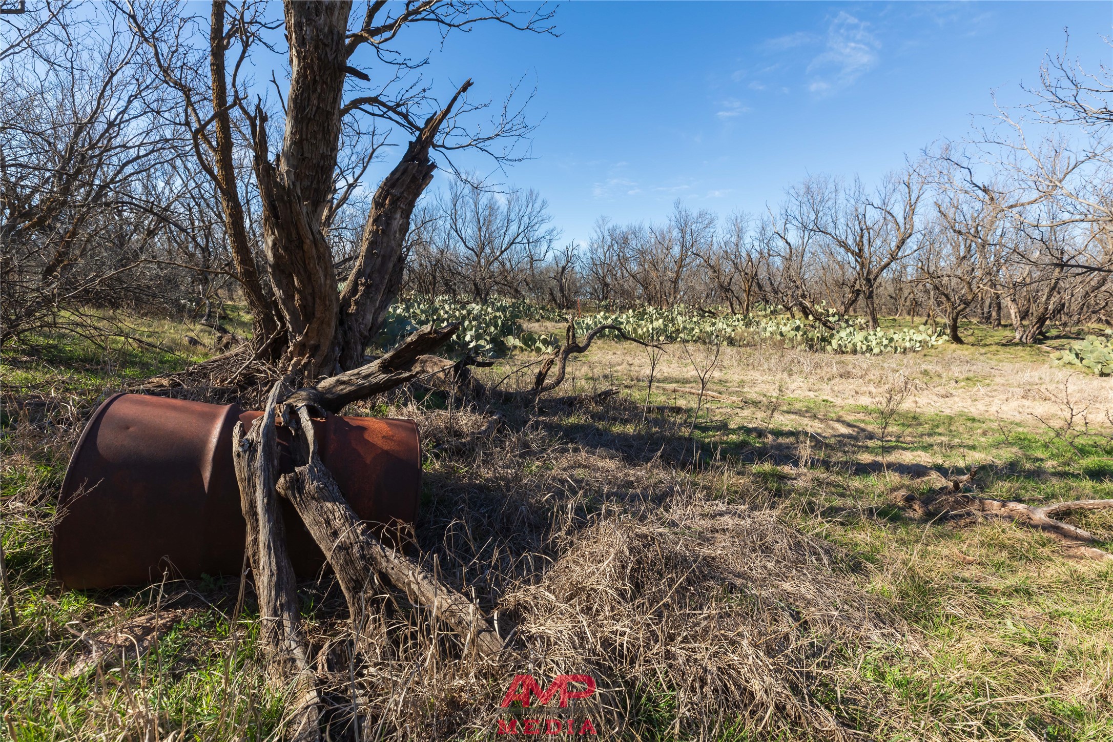 T B D County Road 260 Avoca TX 79503
