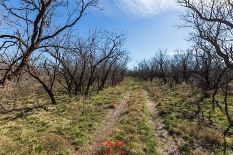T B D County Road 260 Avoca TX 79503