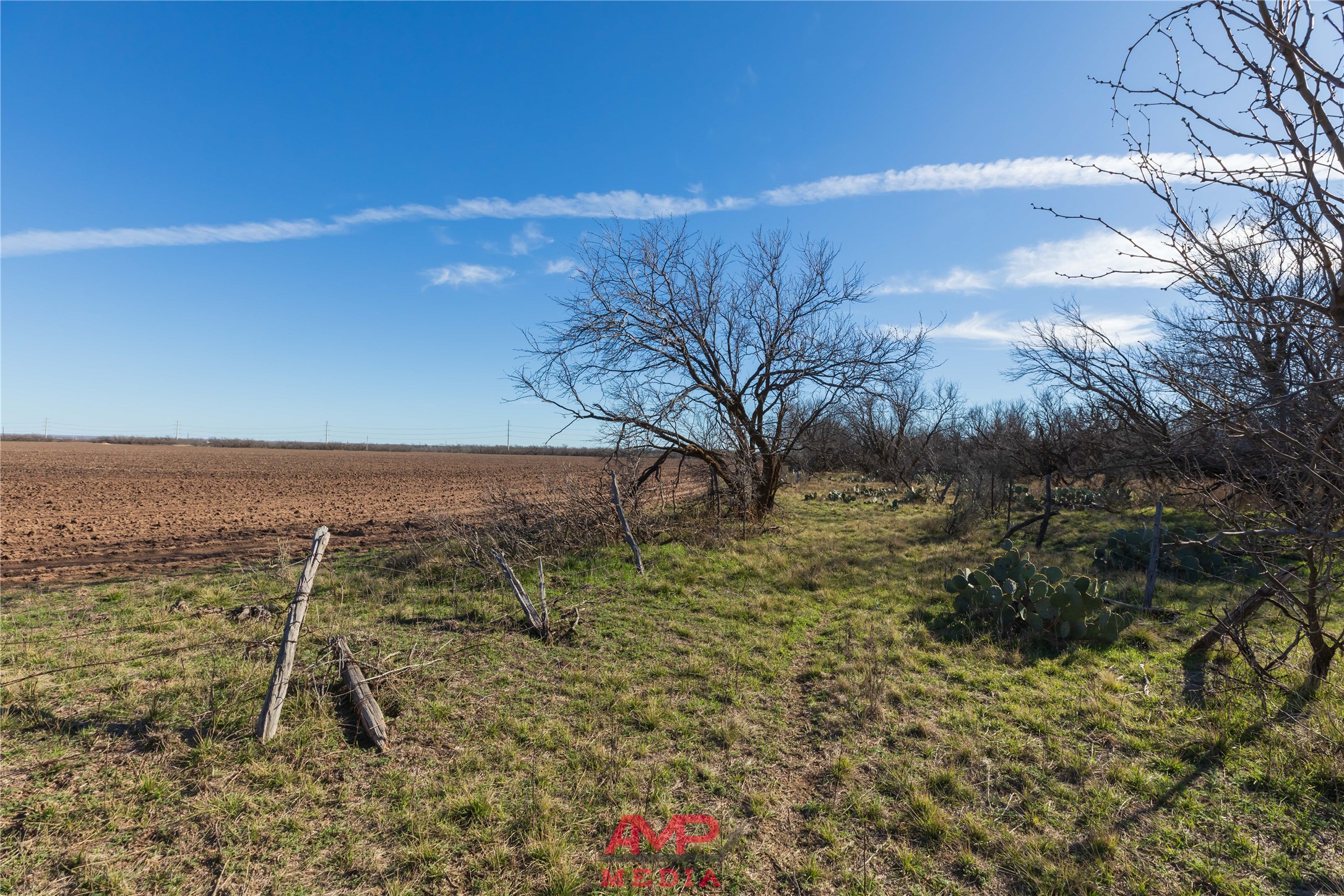 T B D County Road 260 Avoca TX 79503