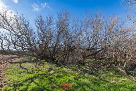T B D County Road 260 Avoca TX 79503