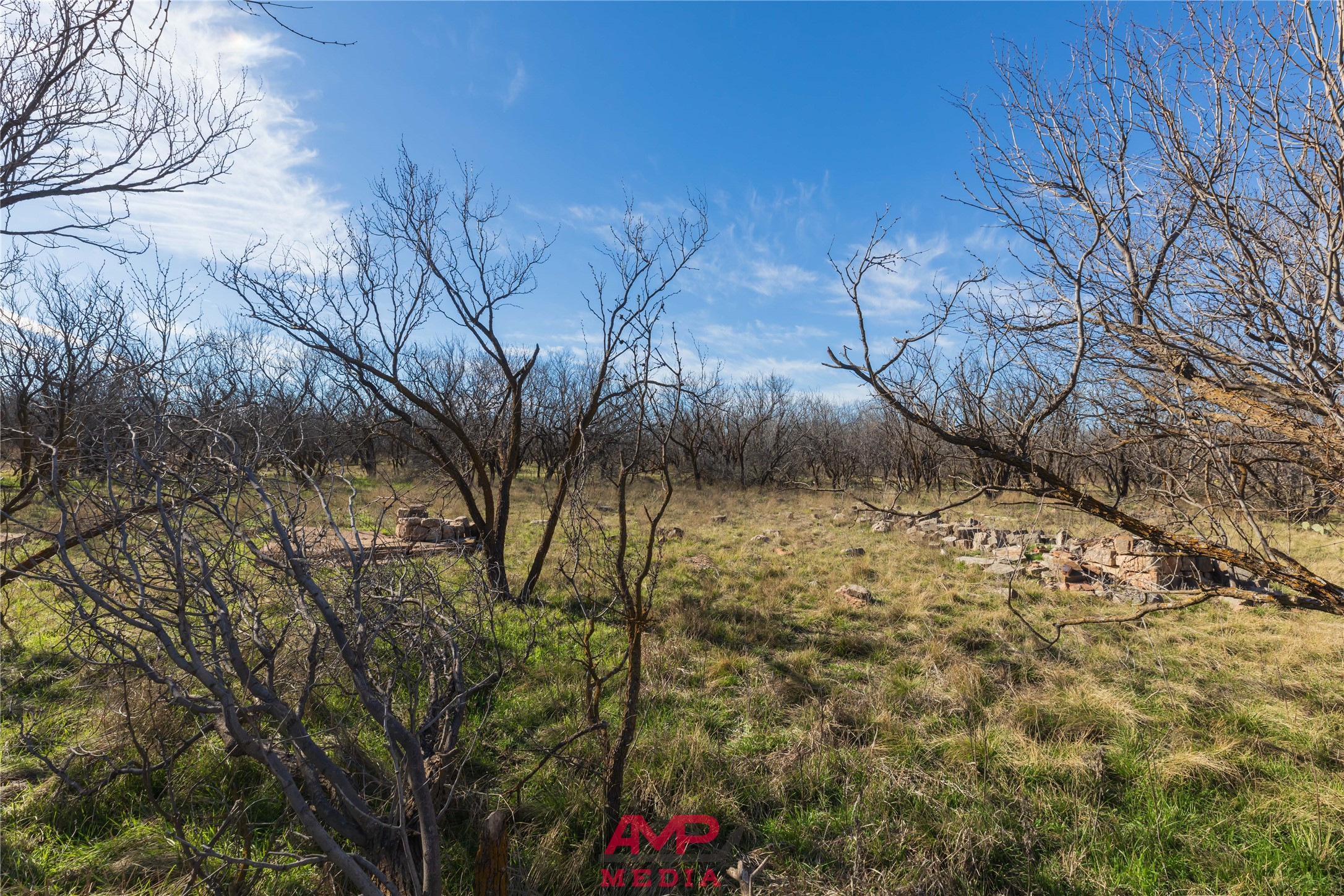 T B D County Road 260 Avoca TX 79503