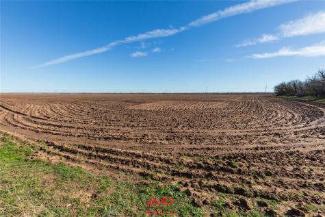 T B D County Road 260 Avoca TX 79503