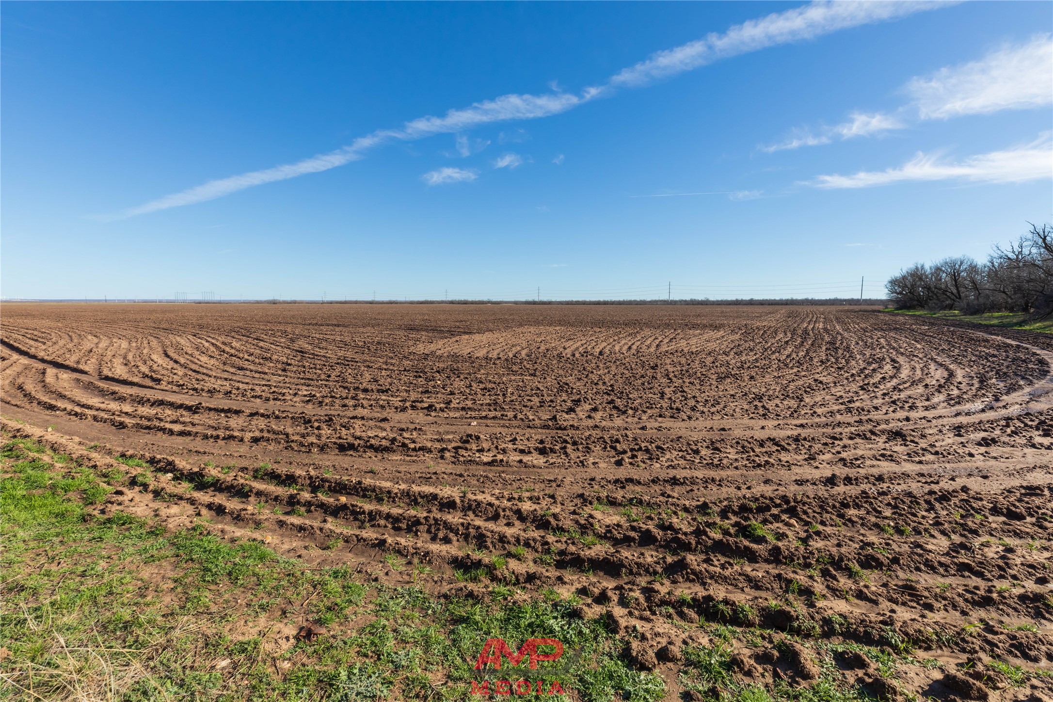 T B D County Road 260 Avoca TX 79503