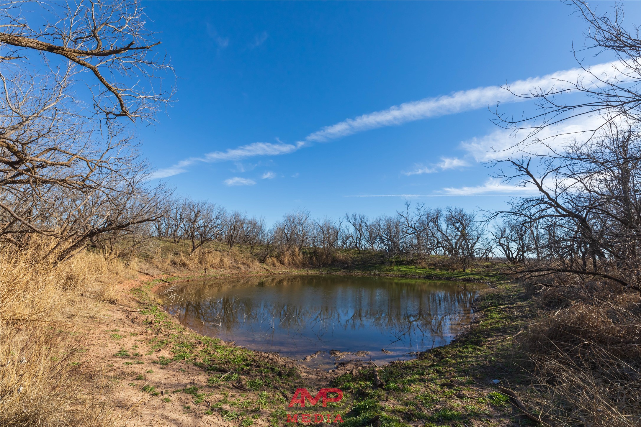 T B D County Road 260 Avoca TX 79503