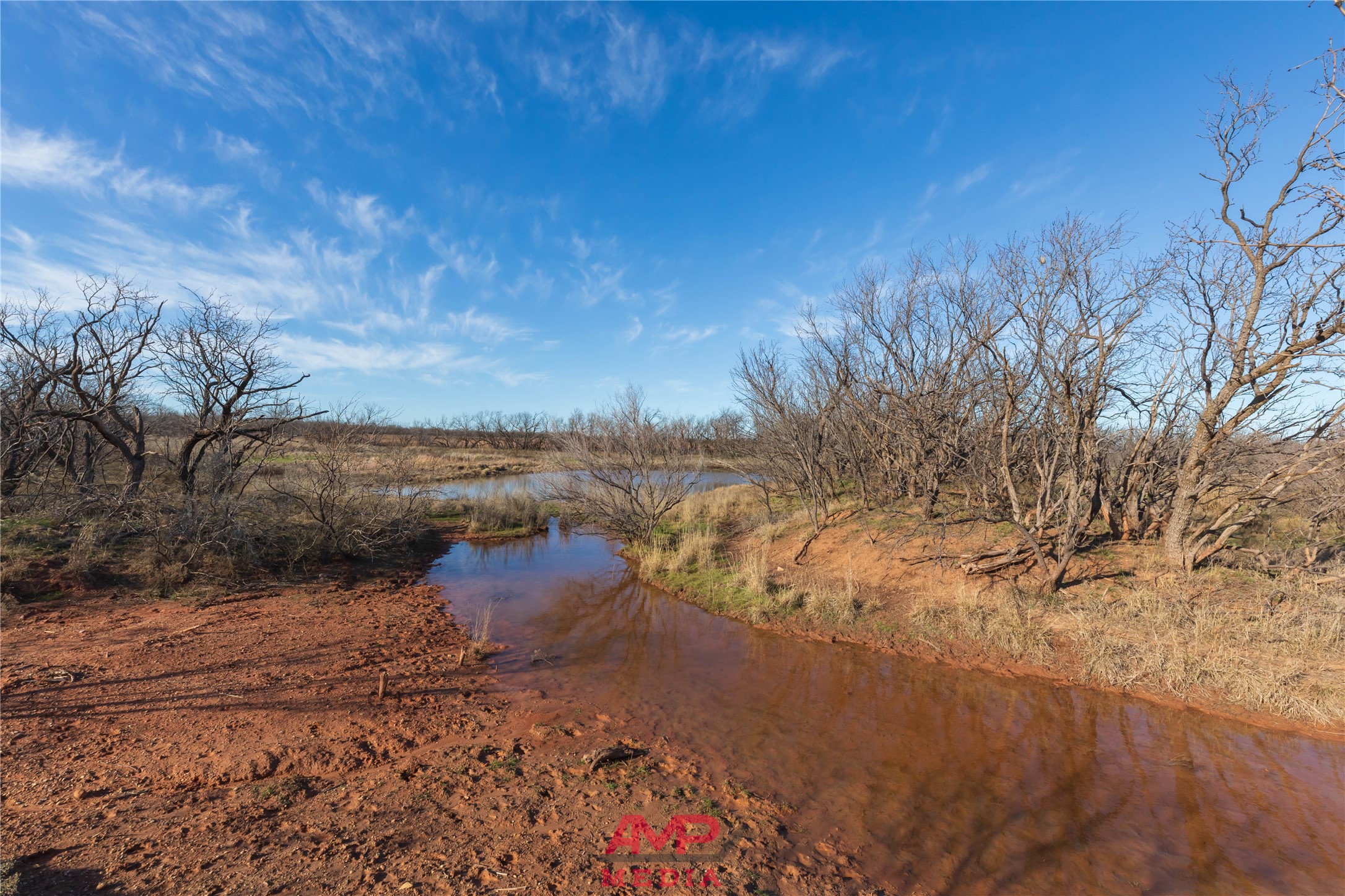 T B D County Road 260 Avoca TX 79503