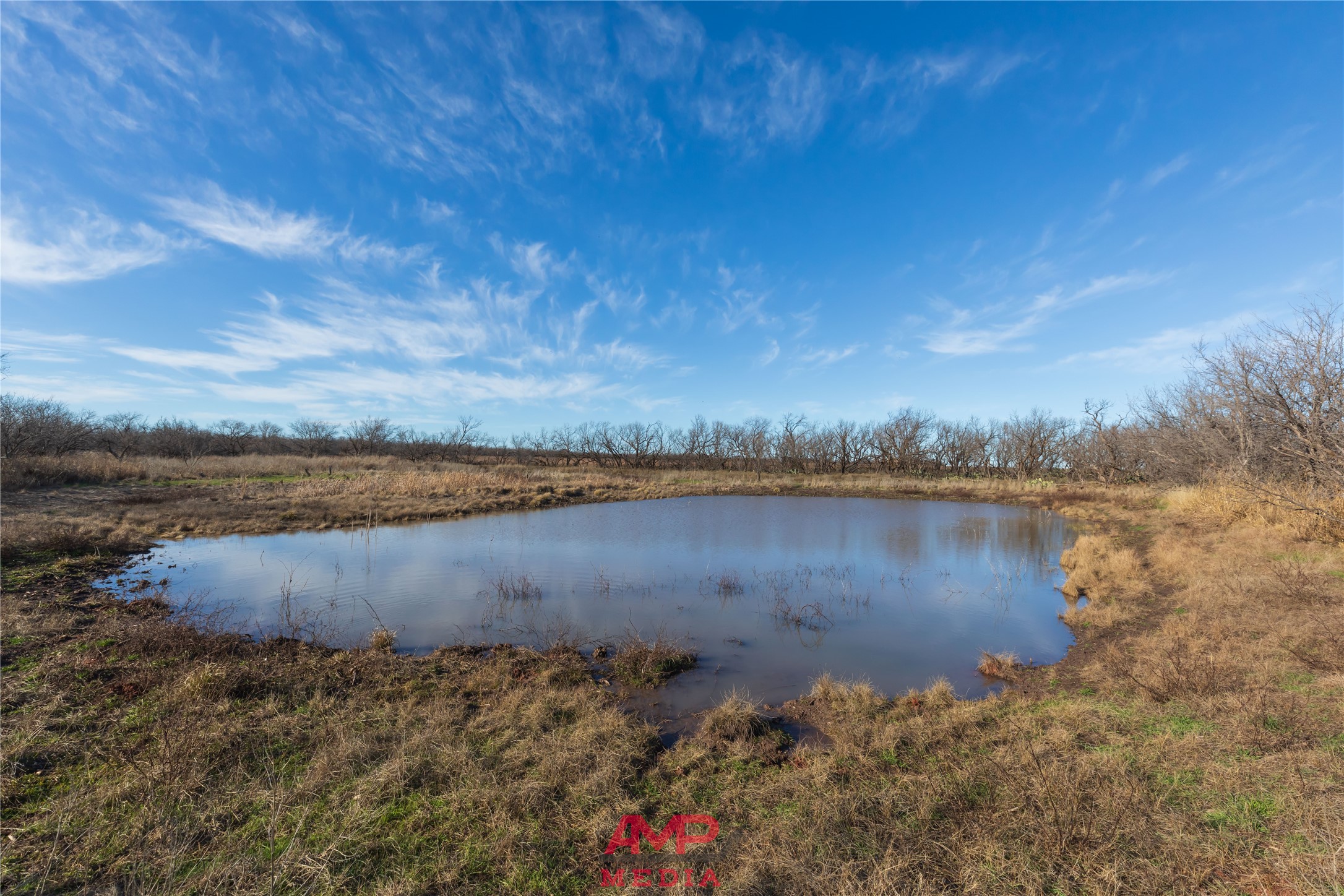 T B D County Road 260 Avoca TX 79503