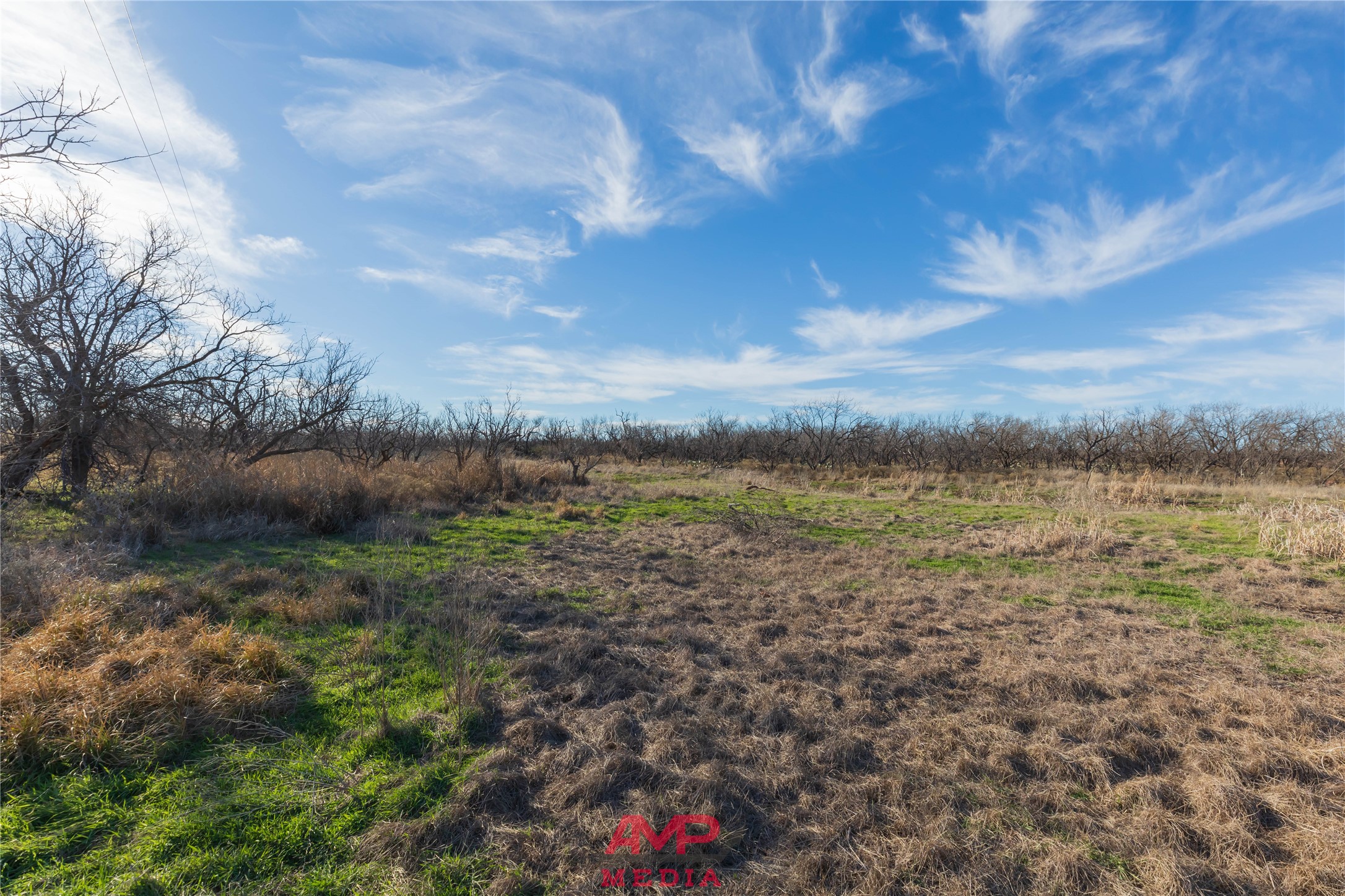 T B D County Road 260 Avoca TX 79503