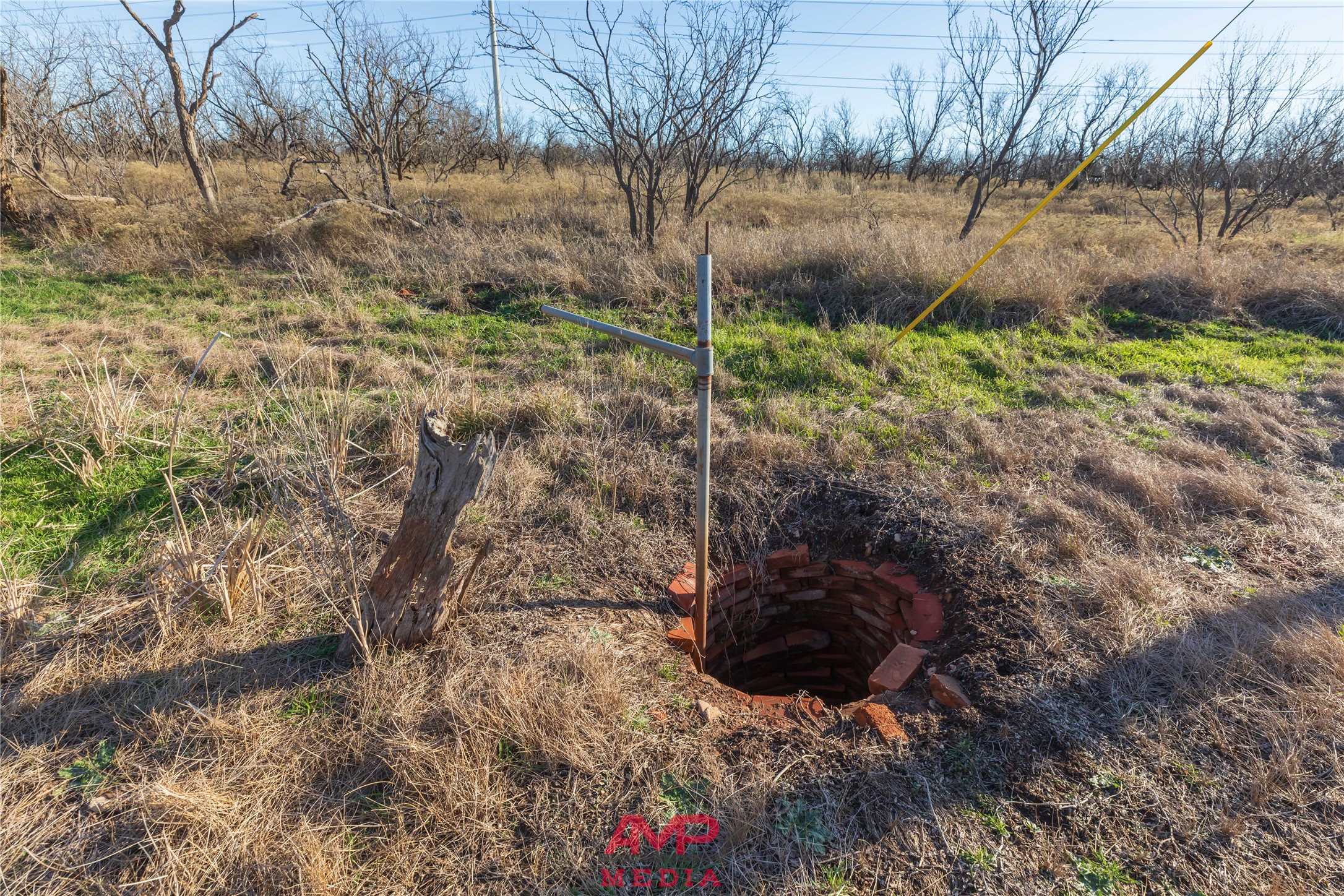 T B D County Road 260 Avoca TX 79503