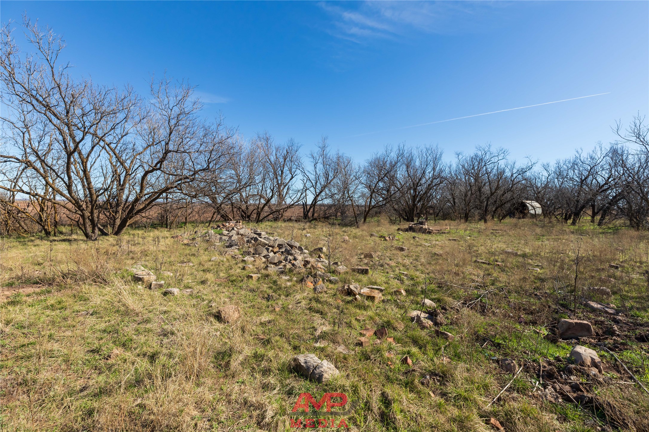 T B D County Road 260 Avoca TX 79503