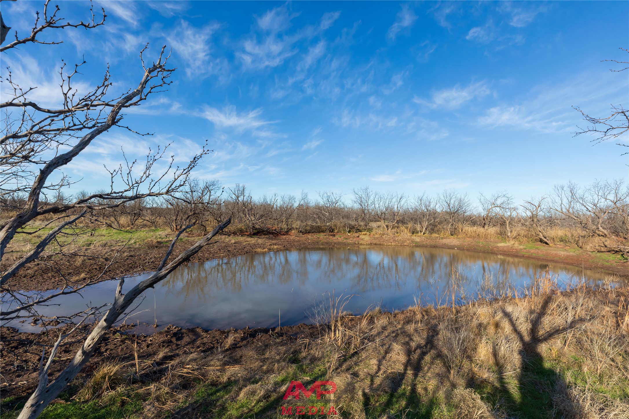 T B D County Road 260 Avoca TX 79503