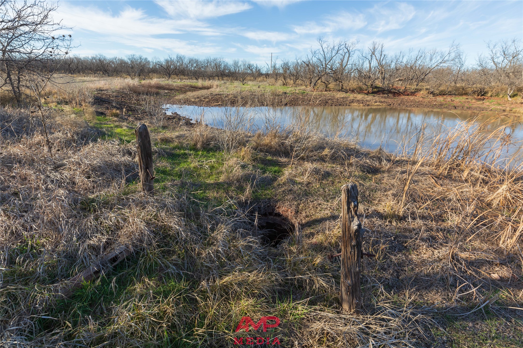 T B D County Road 260 Avoca TX 79503