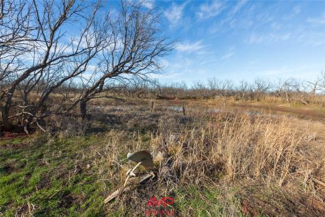 T B D County Road 260 Avoca TX 79503