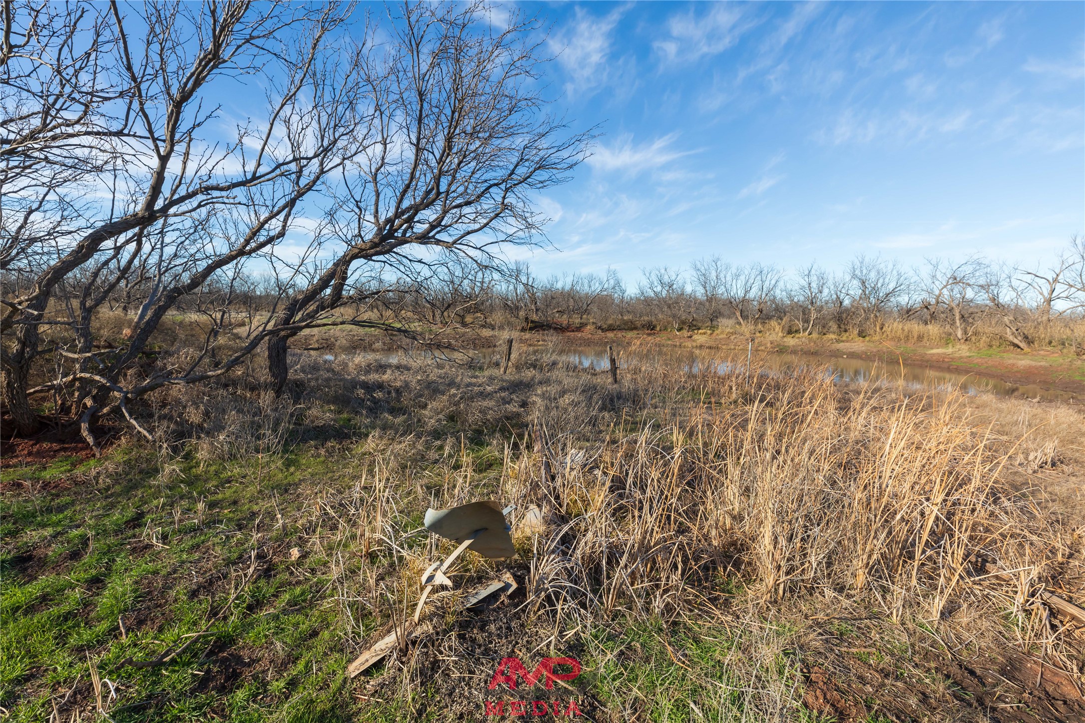 T B D County Road 260 Avoca TX 79503