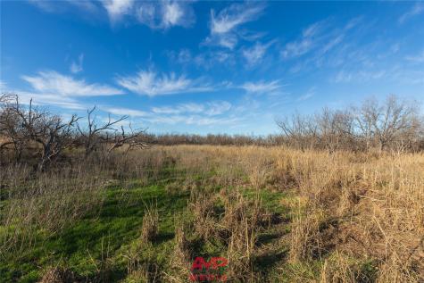 T B D County Road 260 Avoca TX 79503