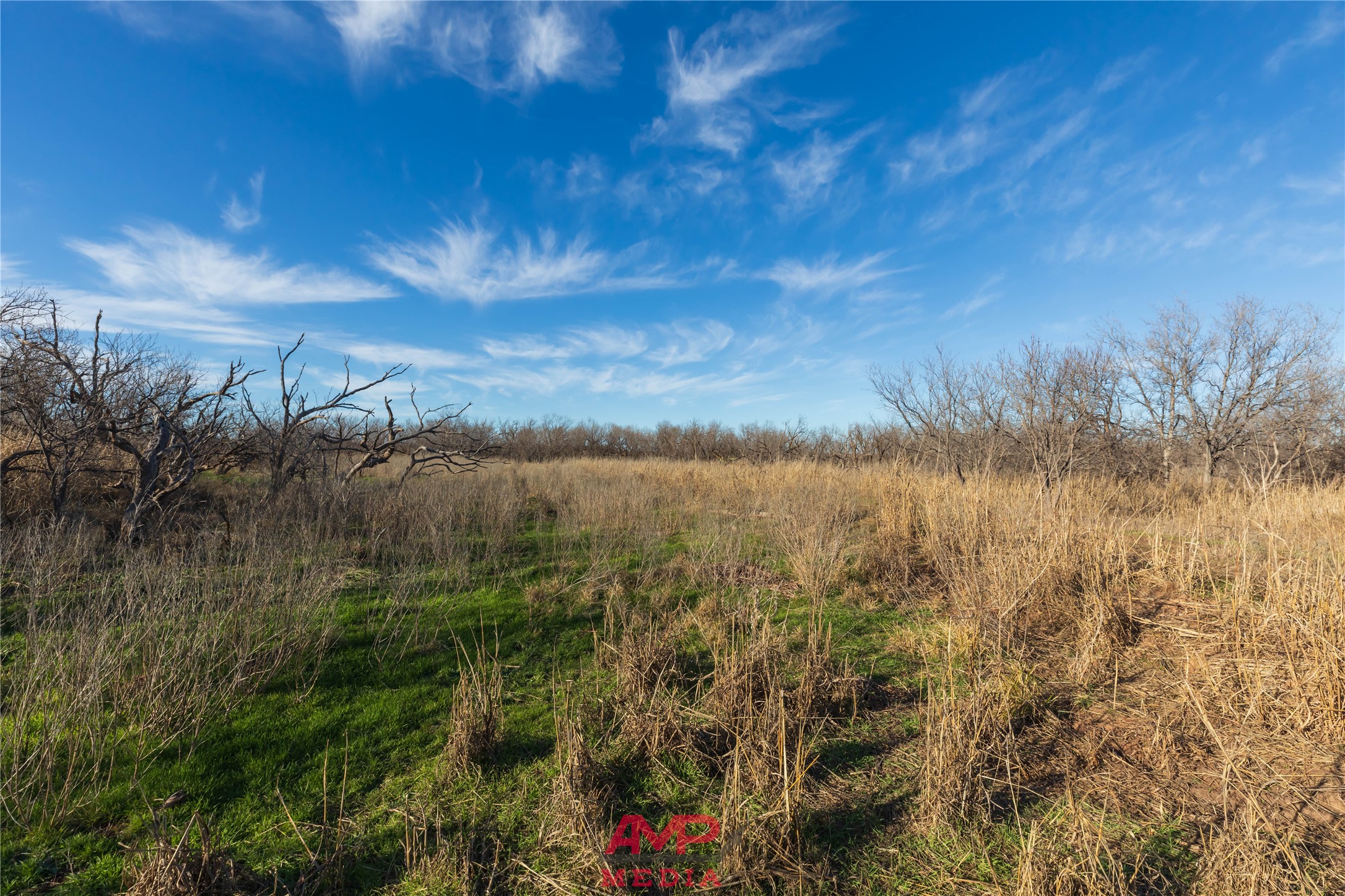 T B D County Road 260 Avoca TX 79503