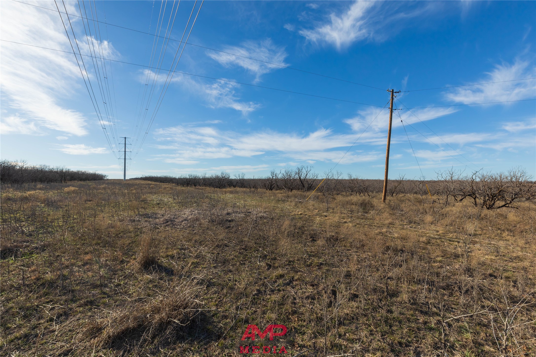 T B D County Road 260 Avoca TX 79503