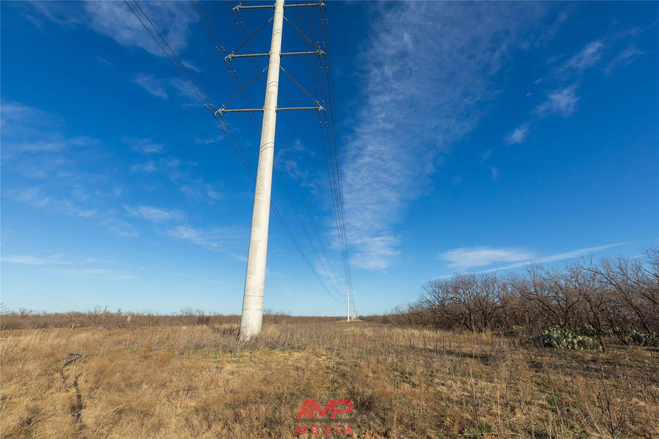 T B D County Road 260 Avoca TX 79503