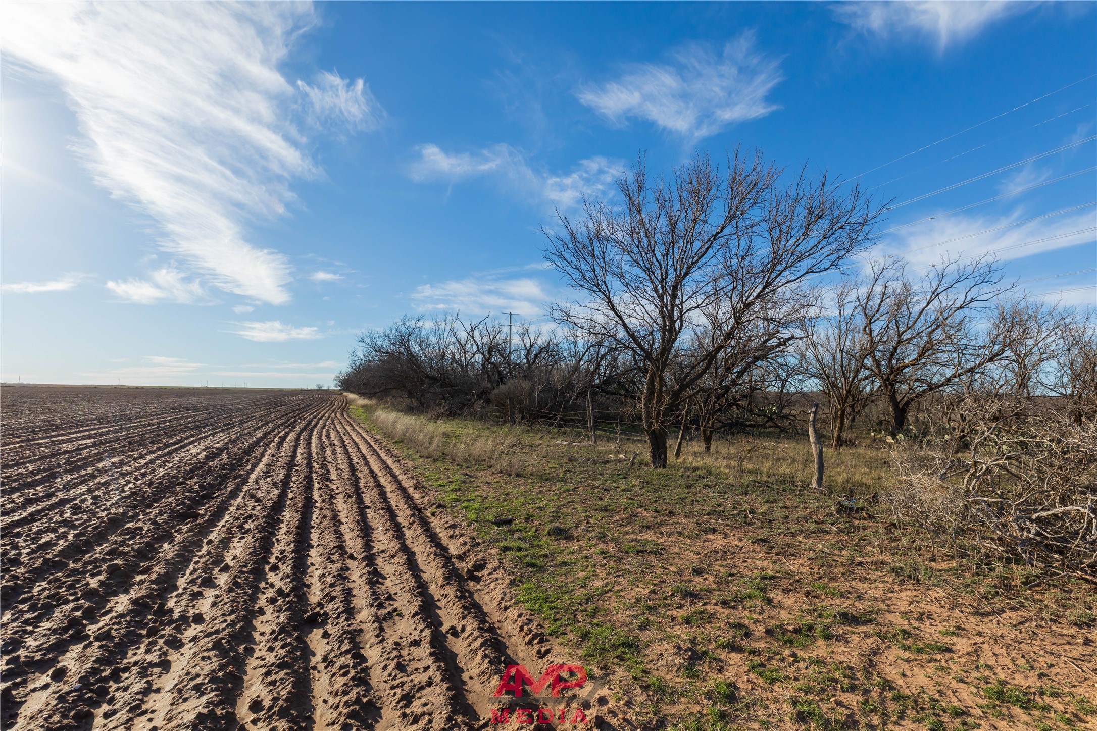 T B D County Road 260 Avoca TX 79503