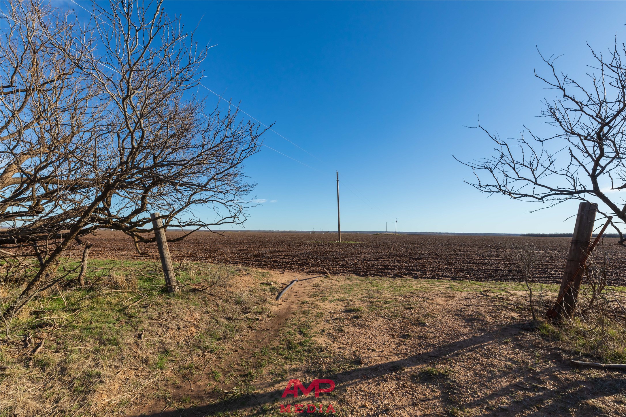 T B D County Road 260 Avoca TX 79503