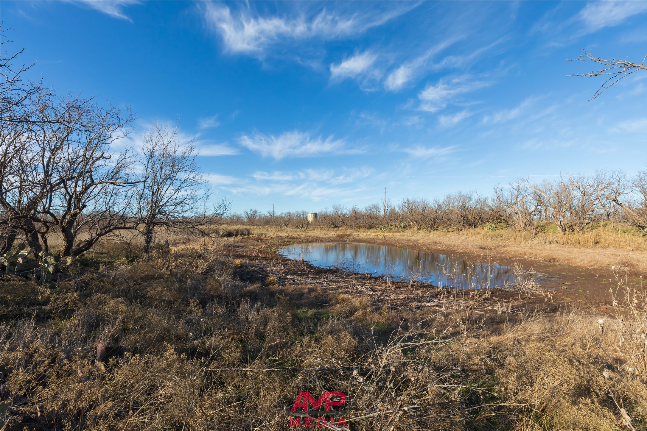 T B D County Road 260 Avoca TX 79503