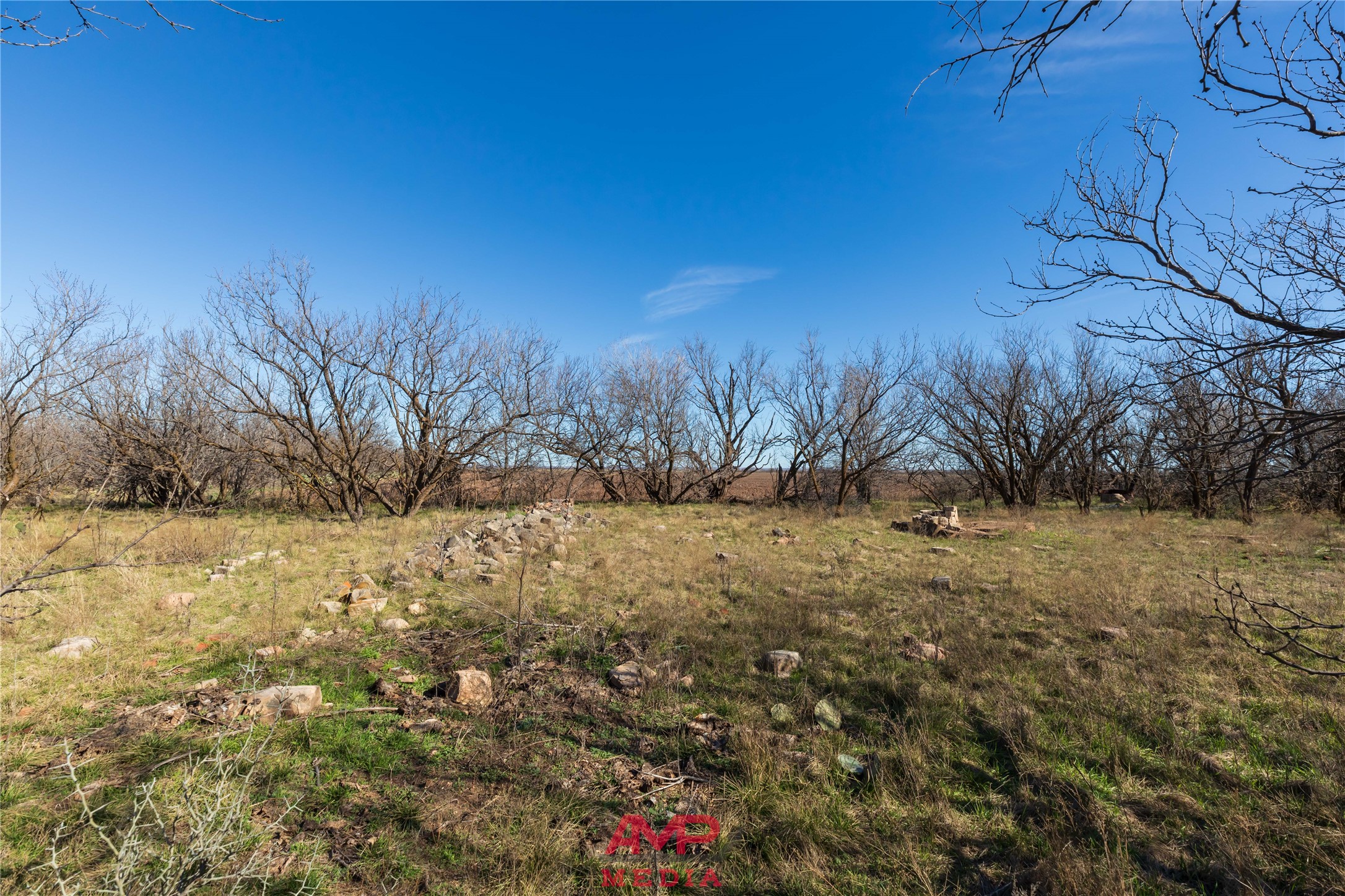 T B D County Road 260 Avoca TX 79503