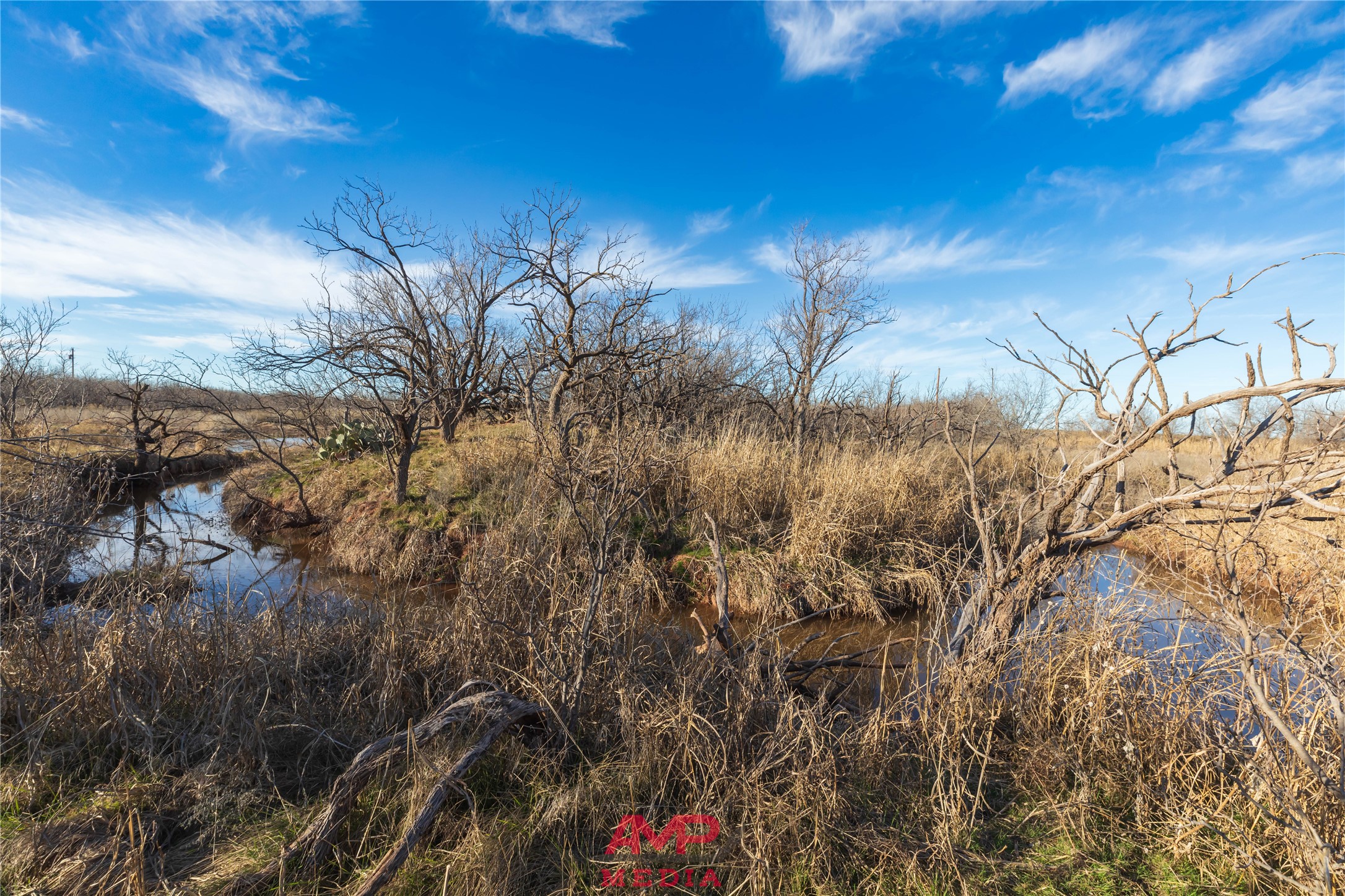 T B D County Road 260 Avoca TX 79503