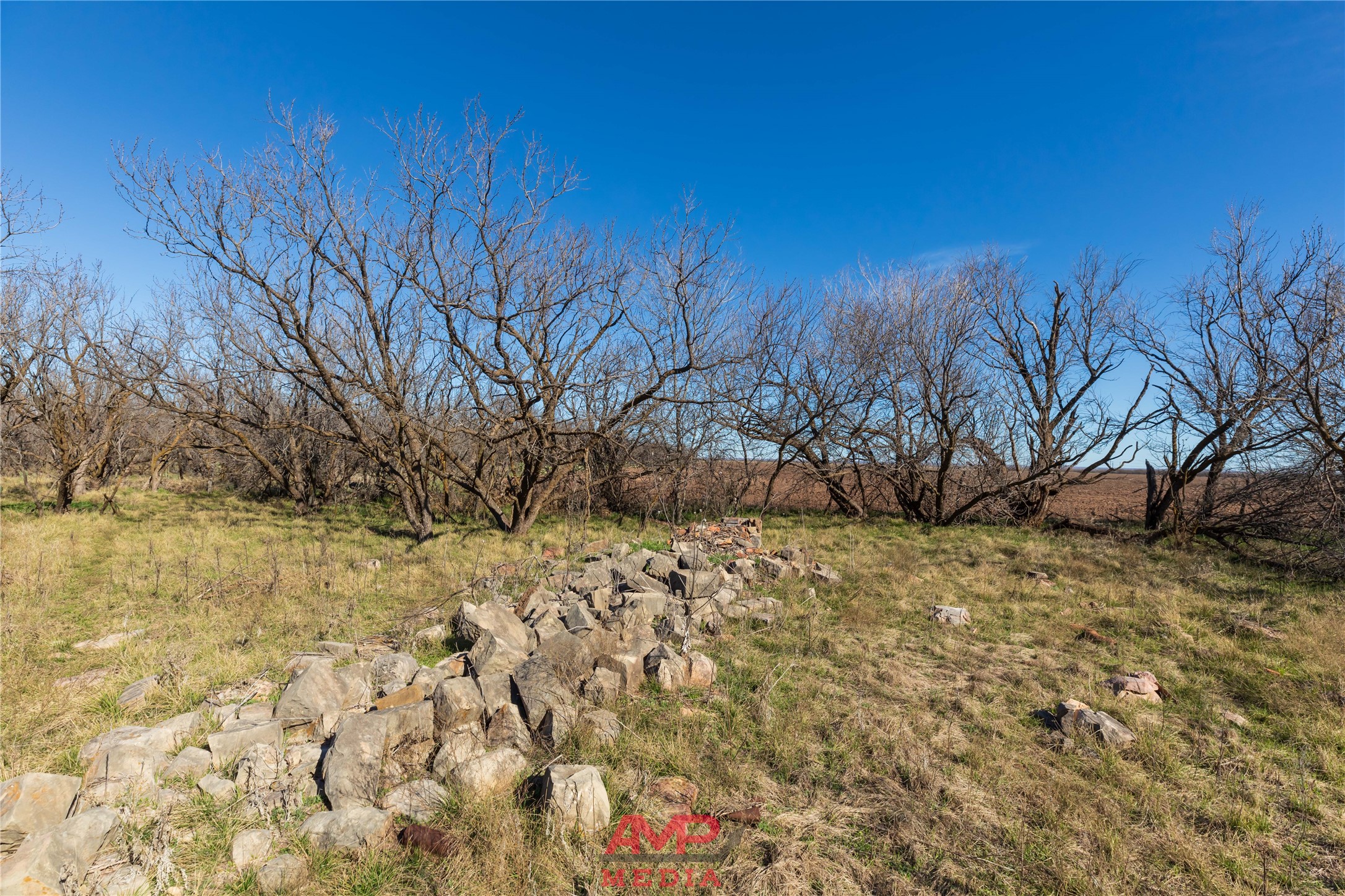T B D County Road 260 Avoca TX 79503