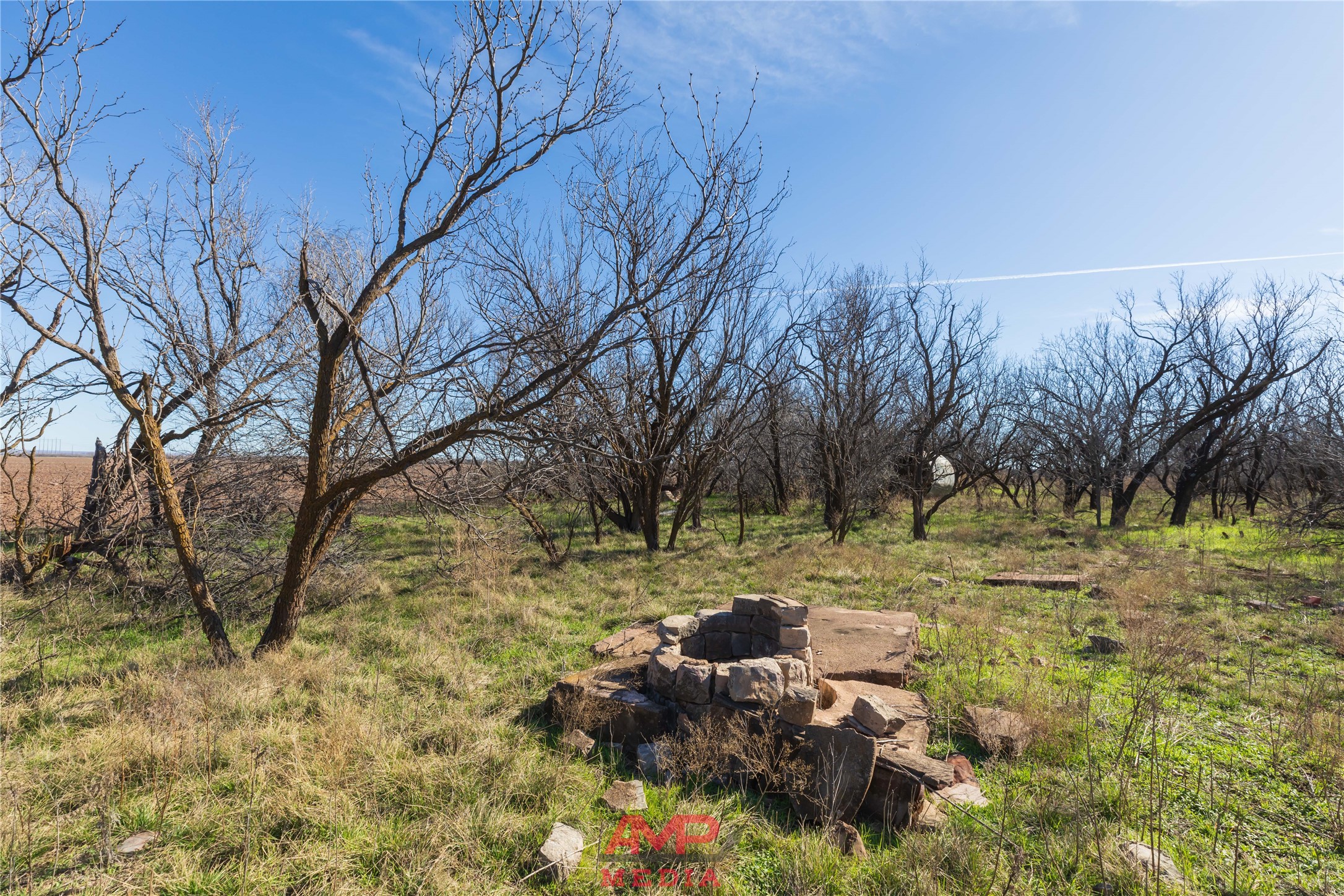 T B D County Road 260 Avoca TX 79503